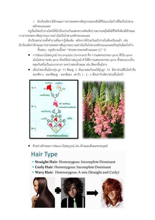 > นักเรียนคิดว่ามีลักษณะการถ่ายทอดทางพันธุกรรมของสิ่งมีชีวิตแบบใดบ้างที่ไม่เป็นไปตาม
หลักของเมนเดล
ครูเริ่มเปิดอภิปรายโดยให้นักเรียนร่วมกันแสดงความคิดเห็นว่าเพราะเหตุใดสิ่งมีชีวิตจึงต้องมีลักษณะ
การถ่ายทอดทางพันธุกรรมบางอย่างไม่เป็นไปตามหลักของเมนเดล
นักเรียนสามารถตั้งคาถามที่อยากรู้เพิ่มเติม หลังจากได้ร่วมกันอภิปรายในห้องเรียนแล้ว เช่น
นักเรียนคิดว่าลักษณะการถ่ายทอดทางพันธุกรรมบางอย่างไม่เป็นไปตามหลักของเมนเดลปัจจุบันมีอะไรบ้าง
ขั้นสอน : ครูอธิบายเนื้อหา “ส่วนขยายของหลักเมนเดล (1)” ว่า
 การข่มแบบไม่สมบูรณ์ (Incomplete Dominant) คือ การแสดงออกของ gene ที่เป็น gene
เด่นไม่สามารถข่ม gene ด้อยได้อย่างสมบูรณ์ ทาให้มีการแสดงออกของ gene ทั้งสองแบบเป็น
ผสมกันหรือเป็นแบบกลางๆ ระหว่างสองลักษณะ เช่น สีดอกลิ้นมังกร
 เมื่อนาดอกลิ้นมังกรรุ่น ลูก F1 สีชมพู 2 ต้นมาผสมกันจะได้รุ่นลูก F2 อัตราส่วนฟีโนไทป์ คือ
ดอกสีขาว : ดอกสีชมพู : ดอกสีแดง เท่ากับ 1 : 2 : 1 (ซึ่งเท่ากับอัตราส่วนจีโนไทป์)
 ตัวอย่างลักษณะการข่มแบบไม่สมบูรณ์ เช่น ลักษณะเส้นผมของมนุษย์
 