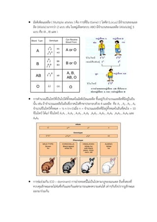  มัลติเพิลแอลลีล ( Multiple alleles ) คือ การที่ยีน (Gene) 1 โลคัส (Locus) มีจานวนของแอล
ลีล (Allele) มากกว่า 2 แบบ เช่น ในหมู่เลือดระบบ ABO มีจานวนของแอลลีล (Allele)อยู่ 3
แบบ คือ IA , IB และ i
 การคานวณจีโนไทป์ที่เป็นไปได้ทั้งหมดในมัลติเปิลแอลลีล ขึ้นอยู่กับจานวนแอลลีลที่มีอยู่ในยีน
นั้น เช่น ถ้าจานวนแอลลีลในยีนที่เราสนใจศึกษาประกอบด้วย 4 แอลลีล คือ A1 , A2 , A3 , A4
จานวนจีโนไทป์ทั้งหมด = ½ n (n+1)เมื่อ n = จานวนแอลลีลที่มีอยู่ทั้งหมดในยีนที่สนใจ = 10
จีโนไทป์ ได้แก่ จีโนไทป์ A1A1 , A1A2 , A1A3 , A1A4 ,A2A2 , A2A3 , A2A4 ,A3A3 , A3A4 และ
A4A4
 การข่มร่วมกัน (CO – dominant) การถ่ายทอดนี้ไม่เป็นไปตามกฎของเมนเดล ยีนทั้งสองที่
ควบคุมลักษณะจะไม่ข่มซึ่งกันและกันแต่สามารถแสดงความเด่นได้ เท่าๆกันจึงปรากฏลักษณะ
ออกมาร่วมกัน
 