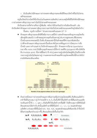 > นักเรียนคิดว่ามีลักษณะการถ่ายทอดทางพันธุกรรมของสิ่งมีชีวิตแบบใดบ้างที่ไม่เป็นไปตาม
หลักของเมนเดล
ครูเริ่มเปิดอภิปรายโดยให้นักเรียนร่วมกันแสดงความคิดเห็นว่าเพราะเหตุใดสิ่งมีชีวิตจึงต้องมีลักษณะ
การถ่ายทอดทางพันธุกรรมบางอย่างไม่เป็นไปตามหลักของเมนเดล
นักเรียนสามารถตั้งคาถามที่อยากรู้เพิ่มเติม หลังจากได้ร่วมกันอภิปรายในห้องเรียนแล้ว เช่น
นักเรียนคิดว่าลักษณะการถ่ายทอดทางพันธุกรรมบางอย่างไม่เป็นไปตามหลักของเมนเดลปัจจุบันมีอะไรบ้าง
ขั้นสอน : ครูอธิบายเนื้อหา “ส่วนขยายของหลักเมนเดล (2)” ว่า
 ลักษณะทางพันธุกรรมของสิ่งมีชีวิตมีมากมาย แต่มิใช่ว่า แต่ละลักษณะจะต้องถูกควบคุมโดยยีน
เพียงคู่เดียวเสมอไป บางลักษณะถูกควบคุมด้วยยีนหลายคู่ เช่น ความสูงของคน สีผิวของคน
น้าหนักและขนาดของผลไม้ เป็นต้น ลักษณะเหล่านี้เป็นลักษณะที่มีความแปรผันต่อเนื่อง
การศึกษาลักษณะทางพันธุกรรมเหล่านี้จะต้องอาศัยวิเคราะห์ข้อมูลจากการวัดขนาด การชั่ง
น้าหนัก และการคานวณต่างๆ จึงเรียกลักษณะแบบนี้ว่า ลักษณะทางปริมาณ (quantitative
trait หรือ metric trait) ยีนที่ควบคุมลักษณะแบบนี้เรียกว่า พอลิยีน (polygene) หรือ มัลติเปิล
ยีน (multiple gene) ซึ่งอาจมีตั้งแต่ 2 ถึง 40 คู่ และอาจอยู่บนโครโมโซมคู่เดียวกันหรือกระจัด
กระจายอยู่บนโครโมโซมหลายคู่ การแสดงออกของลักษณะที่ควบคุมโดยพอลิยีนนี้มักแปรผันไป
ตามอิทธิพลของสิ่งแวดล้อม
 ตัวอย่างหนึ่งของการถ่ายทอดลักษณะทางพันธุกรรมที่ถูกควบคุมโดยพอลิยีน คือสีของเมล็ดข้าว
สาลี ซึ่งมียีนควบคุม 3 คู่ ถ้ากาหนดให้ R1 R2 R3 เป็นยีนที่ทาให้เมล็ดข้าวสาลีมีสีแดงส่วนแอลลีล
ของยีนเหล่านี้ คือ r1 r2 และ r3 เป็นยีนที่ทาให้เมล็ดข้าวสาลีไม่มีสี ยีนที่ควบคุมการมีสีหรือไม่มี
สีจะแสดงออกได้เท่าๆกัน ดังนั้นเมล็ดข้าวสาลีที่มีจีโนไทป์ r1 r1 r2 r2 r3r3 จะแสดงลักษณะ
เมล็ดสีขาว ส่วนพวกที่มีจีโนไทป์ R1R1 R2R2 R3R3 จะแสดงลักษณะเมล็ดสีแดงเข้ม ถ้าจีโนไทป์
มียีนควบคุมสีแดงจานวนมากขึ้น สีของเมล็ดจะเข้มขึ้นเป็นลาดับ
 