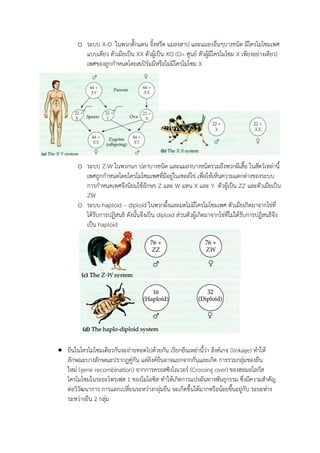 o ระบบ X-O ในพวกตั๊กแตน จิ้งหรีด แมลงสาป และแมลงอื่นๆบางชนิด มีโครโมโซมเพศ
แบบเดียว ตัวเมียเป็น XX ตัวผู้เป็น XO (O= ศูนย์ ตัวผู้มีโครโมโซม X เพียงอย่างเดียว)
เพศของลูกกาหนดโดยสเปิร์มมีหรือไม่มีโครโมโซม X
o ระบบ Z-W ในพวกนก ปลาบางชนิด และแมลงบางชนิดรวมถึงพวกผีเสื้อ ในสัตว์เหล่านี้
เพศถูกกาหนดโดยโครโมโซมเพศที่มีอยู่ในเซลล์ไข่ เพื่อให้เห็นความแตกต่างของระบบ
การกาหนดเพศจึงนิยมใช้อักษร Z และ W แทน X และ Y ตัวผู้เป็น ZZ และตัวเมียเป็น
ZW
o ระบบ haploid – diploid ในพวกผึ้งและมดไม่มีโครโมโซมเพศ ตัวเมียเกิดมาจากไข่ที่
ได้รับการปฏิสนธิ ดังนั้นจึงเป็น diploid ส่วนตัวผู้เกิดมาจากไข่ที่ไม่ได้รับการปฏิสนธิจึง
เป็น haploid
 ยีนในโครโมโซมเดียวกันจะถ่ายทอดไปด้วยกัน เรียกยีนเหล่านี้ว่า ลิงค์เกจ (linkage) ทาให้
ลักษณะบางลักษณะปรากฏคู่กัน แต่ลิงค์ยีนอาจแยกจากกันและเกิด การรวมกลุ่มของยีน
ใหม่ (gene recombination) จากการครอสซิงโอเวอร์ (Crossing over) ของฮอมอโลกัส
โครโมโซมในระยะโพรเฟส 1 ของไมโอซิส ทาให้เกิดการแปรผันทางพันธุกรรม ซึ่งมีความสาคัญ
ต่อวิวัฒนาการ การแลกเปลี่ยนระหว่างกลุ่มยีน จะเกิดขึ้นได้มากหรือน้อยขึ้นอยู่กับ ระยะห่าง
ระหว่างยีน 2 กลุ่ม
 