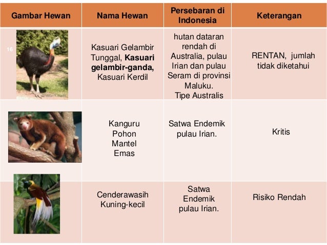 keanekaragaman flora dan fauna 