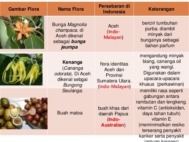 keanekaragaman flora dan  fauna