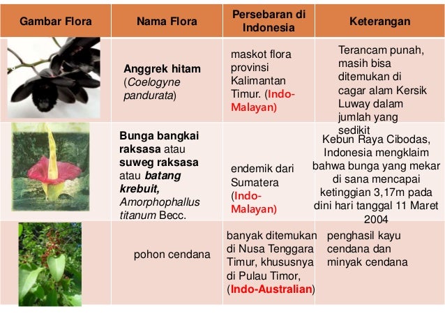 keanekaragaman flora  dan  fauna 
