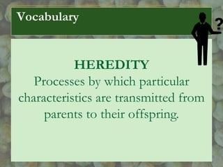 Vocabulary
HEREDITY
Processes by which particular
characteristics are transmitted from
parents to their offspring.
 