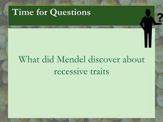 Time for Questions
What did Mendel discover about
recessive traits
 