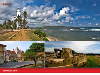 Галле
anextour.com
 