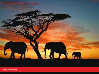 Национальные парки
anextour.com
 