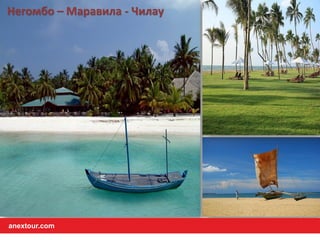 Негомбо – Маравила - Чилау
anextour.com
 
