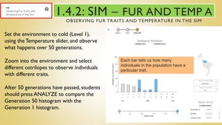 1.4.2: SIM – FUR AND TEMP A
OBSERVING FUR TRAITS AND TEMPERATURE IN THE SIM
Set the environment to cold (Level 1),
using the Temperature slider, and observe
what happens over 50 generations.
Zoom into the environment and select
different ostrilopes to observe individuals
with different traits.
After 50 generations have passed, students
should press ANALYZE to compare the
Generation 50 histogram with the
Generation 1 histogram.
Each bar tells us how many
individuals in the population have a
particular trait.
 