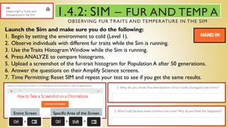 1.4.2: SIM – FUR AND TEMP A
OBSERVING FUR TRAITS AND TEMPERATURE IN THE SIM
Launch the Sim and make sure you do the following:
1. Begin by setting the environment to cold (Level 1).
2. Observe individuals with different fur traits while the Sim is running.
3. Use theTraits Histogram Window while the Sim is running.
4. Press ANALYZE to compare histograms.
5. Upload a screenshot of the fur-trait histogram for Population A after 50 generations.
6. Answer the questions on their Amplify Science screens.
7. Time Permitting: Reset SIM and repeat your test to see if you get the same results.
Entire Screen Specific Area of the Screen
 