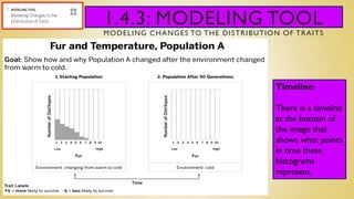 1.4.3: MODELING TOOL
MODELING CHANGES TO THE DISTRIBUTION OF TRAITS
Timeline:
There is a timeline
at the bottom of
the image that
shows what points
in time these
histograms
represent.
 