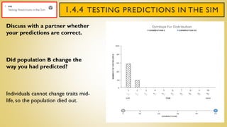 1.4.4 TESTING PREDICTIONS IN THE SIM
Discuss with a partner whether
your predictions are correct.
Did population B change the
way you had predicted?
Individuals cannot change traits mid-
life, so the population died out.
 