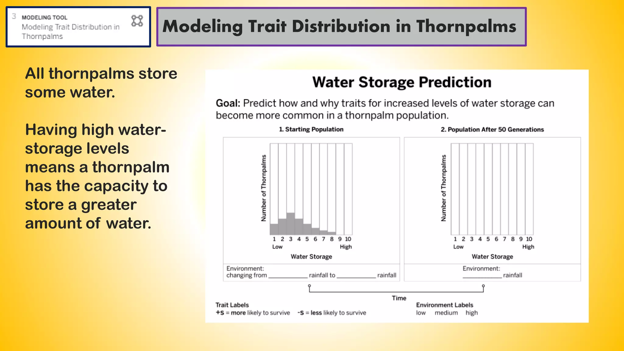 Modeling Trait Distribution in Thornpalms
All thornpalms store
some water.
Having high water-
storage levels
means a thornpalm
has the capacity to
store a greater
amount of water.
 