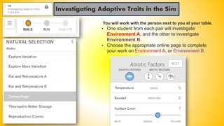 Investigating Adaptive Traits in the Sim
You will work with the person next to you at your table.
• One student from each pair will investigate
Environment A, and the other to investigate
Environment B.
• Choose the appropriate online page to complete
your work on Environment A, or Environment B.
 