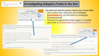 Investigating Adaptive Traits in the Sim
You will work with the person next to you at your table.
• One student from each pair will investigate
Environment A, and the other to investigate
Environment B.
• Choose the appropriate online page to complete
your work on Environment A, or Environment B.
 