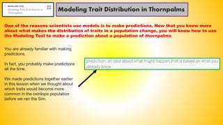 Modeling Trait Distribution in Thornpalms
One of the reasons scientists use models is to make predictions. Now that you know more
about what makes the distribution of traits in a population change, you will know how to use
the Modeling Tool to make a prediction about a population of thornpalms.
You are already familiar with making
predictions.
In fact, you probably make predictions
all the time.
We made predictions together earlier
in this lesson when we thought about
which traits would become more
common in the ostrilope population
before we ran the Sim.
 