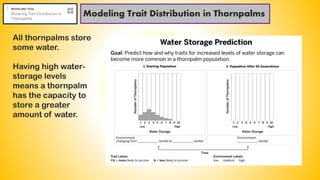 Modeling Trait Distribution in Thornpalms
All thornpalms store
some water.
Having high water-
storage levels
means a thornpalm
has the capacity to
store a greater
amount of water.
 