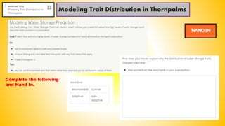 Modeling Trait Distribution in Thornpalms
Complete the following
and Hand In.
 