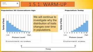 1.5.1: WARM-UP
We will continue to
investigate why the
distribution of traits
changes over time
in populations.
 