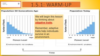 1.5.1: WARM-UP
We will begin this lesson
by thinking about
adaptive traits.
Remember, adaptive
traits help individuals
survive in an
environment.
 