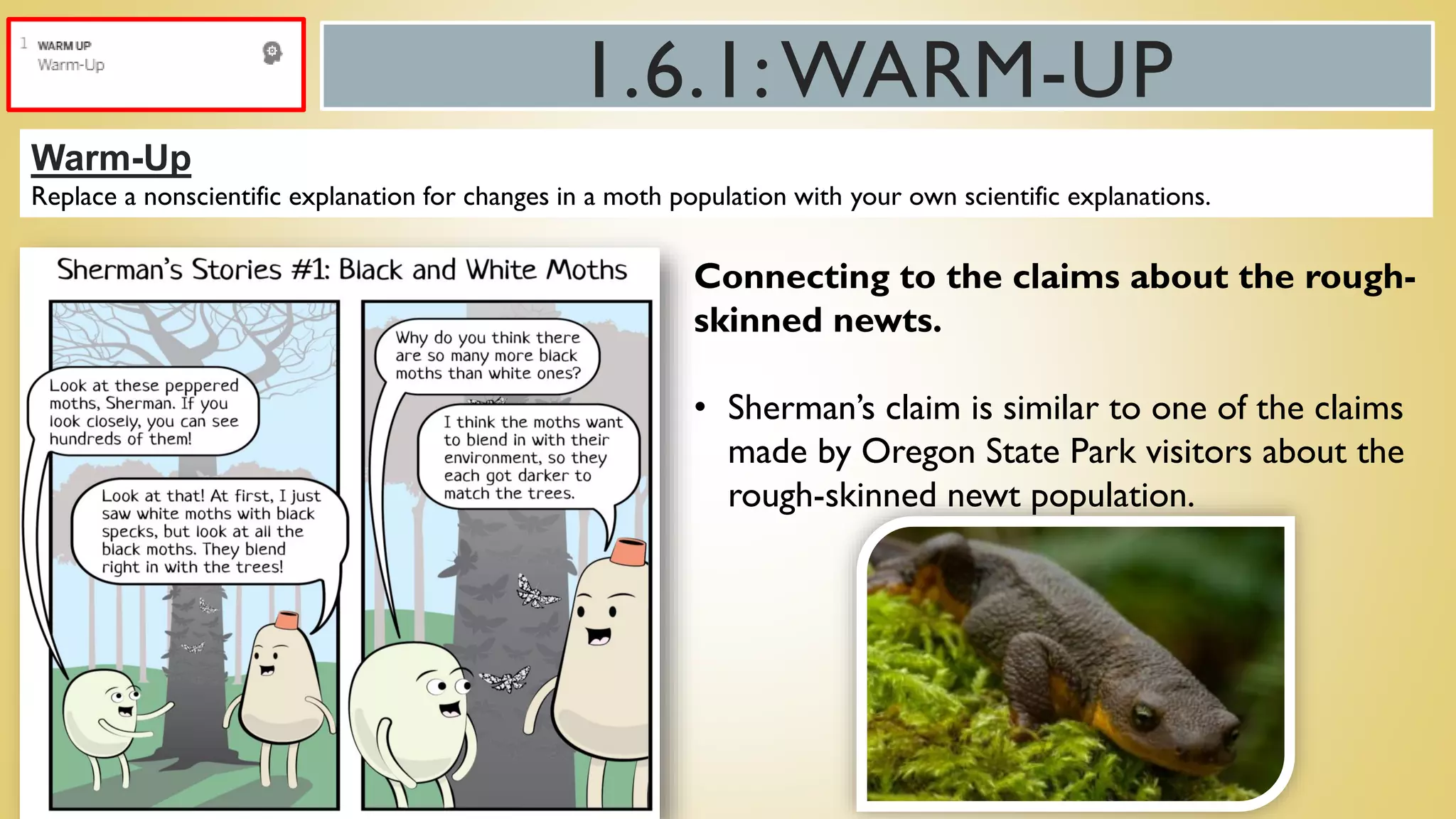 1.6.1:WARM-UP
Warm-Up
Replace a nonscientific explanation for changes in a moth population with your own scientific explanations.
Connecting to the claims about the rough-
skinned newts.
• Sherman’s claim is similar to one of the claims
made by Oregon State Park visitors about the
rough-skinned newt population.
 