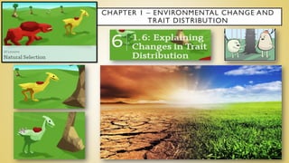 CHAPTER 1 – ENVIRONMENTAL CHANGE AND
TRAIT DISTRIBUTION
 