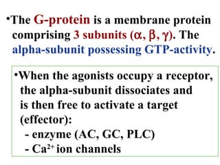 General Pharmacodynamics | PPT