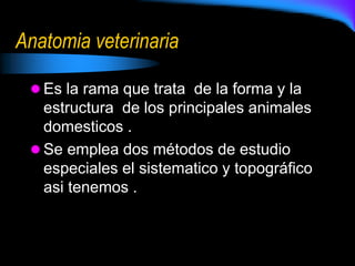 Anatomia veterinaria
 Es la rama que trata de la forma y la
estructura de los principales animales
domesticos .
 Se emplea dos métodos de estudio
especiales el sistematico y topográfico
asi tenemos .
 