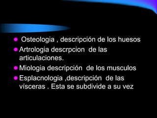  Osteologia , descripción de los huesos
 Artrologia descrpcion de las
articulaciones.
 Miologia descripción de los musculos
 Esplacnologia ,descripción de las
vísceras . Esta se subdivide a su vez
 