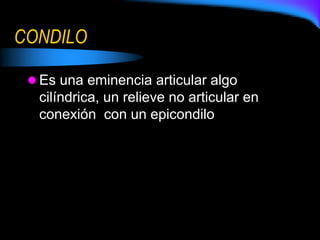 CONDILO
 Es una eminencia articular algo
cilíndrica, un relieve no articular en
conexión con un epicondilo
 