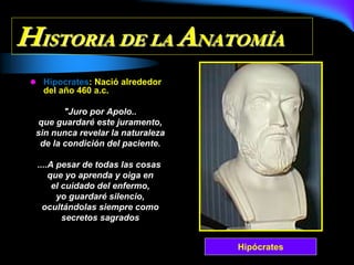 HISTORIA DE LA ANATOMÍA
 Hipocrates: Nació alrededor
del año 460 a.c.
"Juro por Apolo..
que guardaré este juramento,
sin nunca revelar la naturaleza
de la condición del paciente.
....A pesar de todas las cosas
que yo aprenda y oiga en
el cuidado del enfermo,
yo guardaré silencio,
ocultándolas siempre como
secretos sagrados
Hipócrates
 
