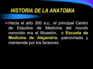HISTORIA DE LA ANATOMIA
 Hacia el año 300 a.c., el principal Centro
de Estudios de Medicina del mundo
conocido era el Museión, o Escuela de
Medicina de Alejandría, patrocinada y
mantenida por los faraones.
 