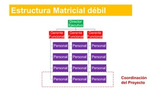 Estructura Matricial débil
Director
Ejecutivo
Gerente
Funcional
Personal
Personal
Personal
Personal
Gerente
Funcional
Personal
Personal
Personal
Personal
Gerente
Funcional
Personal
Personal
Personal
Personal Coordinación
del Proyecto
 