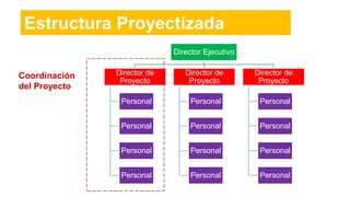 Estructura Proyectizada
Director Ejecutivo
Director de
Proyecto
Personal
Personal
Personal
Personal
Director de
Proyecto
Personal
Personal
Personal
Personal
Director de
Proyecto
Personal
Personal
Personal
Personal
Coordinación
del Proyecto
 