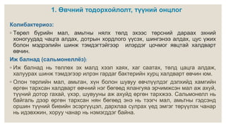 лекц 1. энтеробактериозын халдварууд | PPT