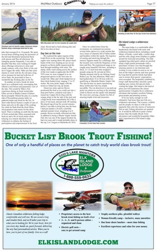 Elk Island Brook Trout - By: John Cleveland | PDF