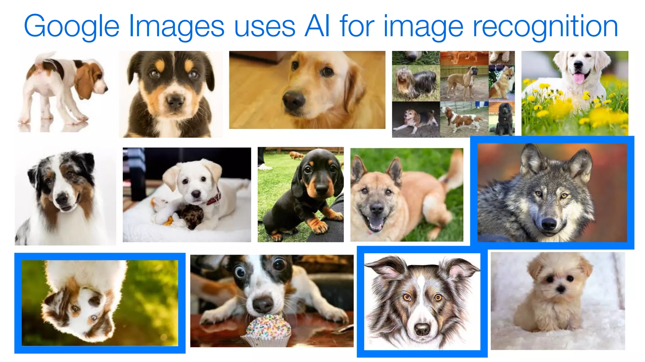 Google Images uses AI for image recognition
 