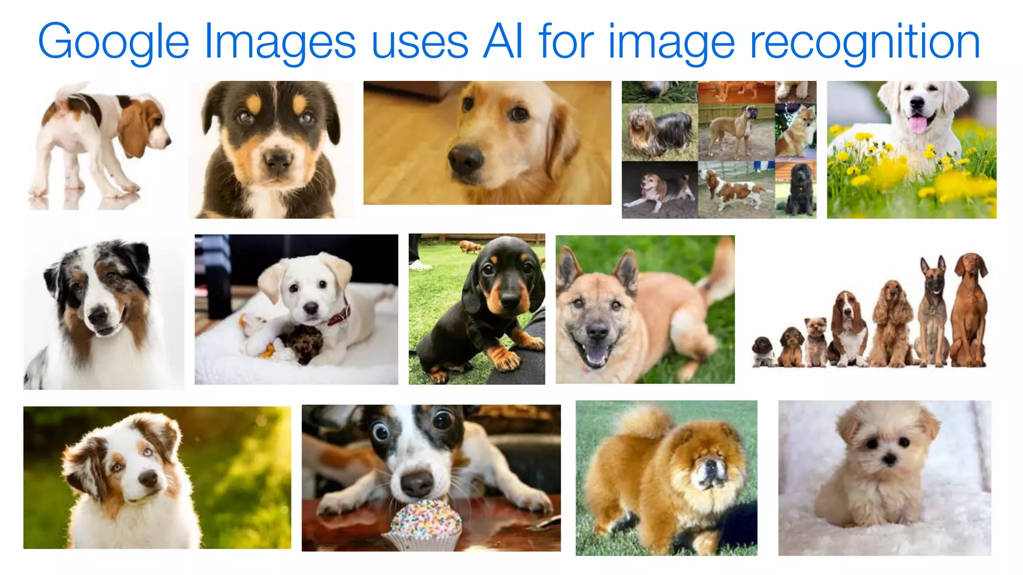 Google Images uses AI for image recognition
 