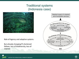 Social forestry for resilience? Lessons from Indonesia (Laos and Vietnam)