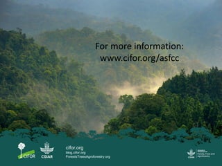Social forestry for resilience? Lessons from Indonesia (Laos and Vietnam)