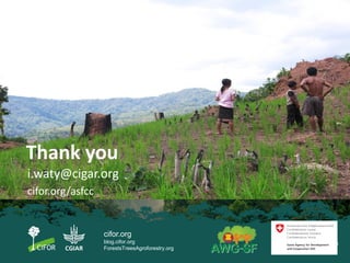 Migration, land use change and resilience within swidden landscapes in Indonesia, Laos and Vietnam