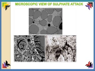 1.sulphate attack on concrete