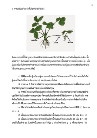 1. การเตรียมต้นเกล้าที่ได้จากไหลต้นพันธุ์
ต้นสตรอเบอร์รี่ที่สมบูรณ์จะมีการสร้างไหลออกมาจากต้นหลักโดยมีสายเป็นตัวเชื่อมเพื่อลาเลียงน้า
และอาหาร ในขณะที่ต้นไหลยังมีระบบรากไม่สมบูรณ์พอที่จะหาน้าและอาหารมาเลี้ยงตัวเองได้ เมื่อ
ผู้ปลูกเพิ่มเห็นต้นหลักสร้างสายและไหลยื่นออกมาจากต้นหลักแล้วให้ผู้ปลูกเตรียมสร้างต้นเกล้าเพื่อ
ใช้ในการปลูกแบบรากแช่ดังนี้
1.1 ให้ใช้ฟองน้า หุ้มบริเวณตุ่มรากของต้นไหลและใช้ภาชนะรองน้าไว้แล้วนาฟองน้านั้นไป
จุ่มลงน้าโดยให้น้าท่วมประมาณ 1/2 ของก้อนฟองน้าก็พอ
1.2 ประมาณ 2 สัปดาห์หลังจากกระตุ้นการเกิดรากที่ไหลแล้วต้นสตรอเบอร์รี่จะมีระบบรากที่
สามารถปลูกแบบรากแช่ในสารละลายได้อย่างสมบูรณ์
1.3 การตัดไหล ก่อนตัดไหลผู้ปลูกต้องสังเกตุที่รากของต้นไหลว่ามีมากพอที่จะสามารถย้าย
ปลูกได้หรือไม่โดยดูที่ความสมบูรณ์ของใบของต้นไหลเป็นหลักก็ได้มีมีมากกว่า 3 ก้านหรือยัง การ
ตัดไหลให้ตัดบริเวณตรงกลางของสาย ห้ามตัดชิดด้านใดด้านหนึ่ง เนื่องจากการตัดชิดด้านในด้าน
หนึ่งจะทาให้ต้นสตรอเบอร์รี่เกิดแผลและเชื้อโรคจะเข้าทาลายได้ง่าย
1.4 ให้นาต้นไหลที่ทาการตัดแล้วย้ายลงปลูกในแปลงปลูกได้ โดยช่วงแรกให้ใช้ EC ประมาณ
1.2 - 1.4
1.5 เมื่อปลูกได้ประมาณ 2 สัปดาห์ให้เปลี่ยนน้าในระบบใหม่ และปรับ EC เป็น 1.5 - 1.7
1.6 เมื่อปลูกได้ประมาณ 2 สัปดาห์ให้เปลี่ยนน้าในระบบใหม่ และปรับ EC เป็น 1.7 - 2.0
และให้เลี้ยงด้วย EC ในระดับนี้ไปตลอด และให้ปุ๋ย C เสริม โดยฉีดพ่น 2 - 3 ครั้งต่อสัปดาห์ ใน
17
 