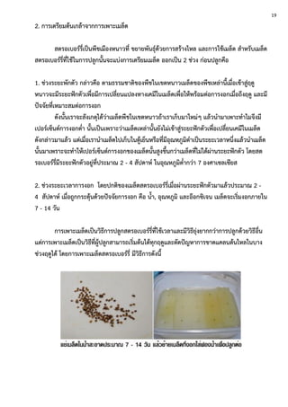 2. การเตรียมต้นเกล้าจากการเพาะเมล็ด
สตรอเบอร์รี่เป็นพืชเมืองหนาวที่ ขยายพันธุ์ด้วยการสร้างไหล และการใช้เมล็ด สาหรับเมล็ด
สตรอเบอร์รี่ที่ใช้ในการปลูกนั้นจะแบ่งการเตรียมเมล็ด ออกเป็น 2 ช่วง ก่อนปลูกคือ
1. ช่วงระยะพักตัว กล่าวคือ ตามธรรมชาติของพืชในเขตหนาวเมล็ดของพืชเหล่านี้เมื่อเข้าสู่ฤดู
หนาวจะมีระยะฟักตัวเพื่อมีการเปลี่ยนแปลงทางเคมีในเมล็ดเพื่อให้พร้อมต่อการงอกเมื่อถึงฤดู และมี
ปัจจัยที่เหมาะสมต่อการงอก
ดังนั้นเราจะสังเกตุได้ว่าเมล็ดพืชในเขตหนาวถ้าเราเก็บมาใหม่ๆ แล้วนามาเพาะทาไมจึงมี
เปอร์เซ็นต์การงอกต่า นั้นเป็นเพราะว่าเมล็ดเหล่านั้นยังไม่เข้าสู่ระยะฟักตัวเพื่อเปลี่ยนเคมีในเมล็ด
ดังกล่าวมาแล้ว แต่เมื่อเรานาเมล็ดไปเก็บในตู้เย็นหรือที่มีอุณหภูมิตาเป็นระยะเวลาหนึ่งแล้วนาเมล็ด
นั้นมาเพราะจะทาให้เปอร์เซ็นต์การงอกของเมล็ดนั้นสูงขึ้นกว่าเมล็ดที่ไม่ได้ผ่านระยะฟักตัว โดยสต
รอเบอร์รี่มีระยะฟักตัวอยู่ที่ประมาณ 2 - 4 สัปดาห์ ในอุณหภูมิต่ากว่า 7 องศาเซลเซียส
2. ช่วงระยะเวลาการงอก โดยปกติของเมล็ดสตรอเบอร์รี่เมื่อผ่านระยะฟักตัวมาแล้วประมาณ 2 -
4 สัปดาห์ เมื่อถูกกระตุ้นด้วยปัจจัยการงอก คือ น้า, อุณหภูมิ และอ๊อกซิเจน เมล็ดจะเริ่มงอกภายใน
7 - 14 วัน
การเพาะเมล็ดเป็นวิธีการปลูกสตรอเบอร์รี่ที่ใช้เวลาและมีวิธียุ่งยากกว่าการปลูกด้วยวิธีอื่น
แต่การเพาะเมล็ดเป็นวิธีที่ผู้ปลูกสามารถเริ่มต้นได้ทุกฤดูและตัดปัญหาการขาดแคลนต้นไหลในบาง
ช่วงฤดูได้ โดยการเพาะเมล็ดสตรอเบอร์รี่ มีวิธีการดังนี้
19
 