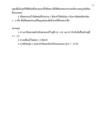 ปลูกเพื่อเก็บผลก็ให้ตัดไหลที่งอกออกมาทิ้งให้หมด เพื่อให้ต้นสะสมอาหารและมีความสมบูรณ์พร้อม
ที่จะออกดอก
5. เมื่อสตรอเบอรี่ เริ่มติดผลได้ประมาณ 1 สัปดาห์ ให้เสริมปุ๋ย K ด้วยการฉีดพ่นสัปดาห์ละ
1 - 2 ครั้ง เพื่อให้ผลสตรอเบอร์รี่สมบูรณ์และเพิ่มน้าตาลให้กับผลมากขึ้น
หมายเหตุ
1. ค่า pH ที่เหมาะสมสาหรับสตรอเบอร์รี่ อยู่ที่ 6.0 - 6.8 และ EC สาหรับต้นที่โตแล้วอยู่ที่
1.7 - 2.3
2. ควรเปลี่ยนน้าใหม่ทุกๆ 2 สัปดาห์
3. ควรฉีดพ่นปุ๋ย C และสารกาจัดและป้องกันโรคและแมลง ทุกๆ 7 - 10 วัน
21
 