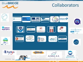 15/02/2018 Supporting Blue Growth with innovative applications based on EU e-infrastructures, 14-15 February 2018, Brussels 12
Collaborators
 