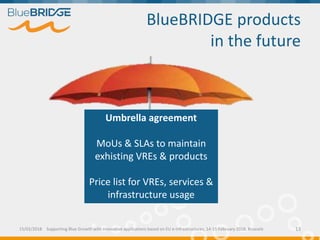 BlueBRIDGE products
in the future
15/02/2018 Supporting Blue Growth with innovative applications based on EU e-infrastructures, 14-15 February 2018, Brussels 13
Umbrella agreement
MoUs & SLAs to maintain
exhisting VREs & products
Price list for VREs, services &
infrastructure usage
 