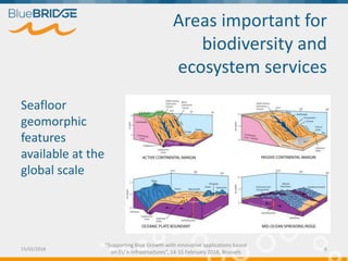 Understanding biodiversity features in marine protected areas Slide 6