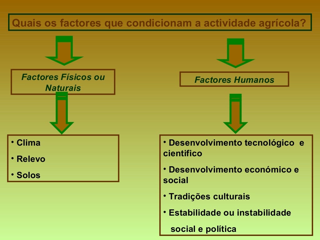 Aponte E Explique Os Fatores Que Propiciaram