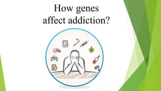How genes
affect addiction?
 